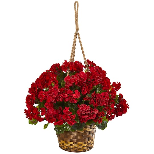19" Geranium in Hanging Basket